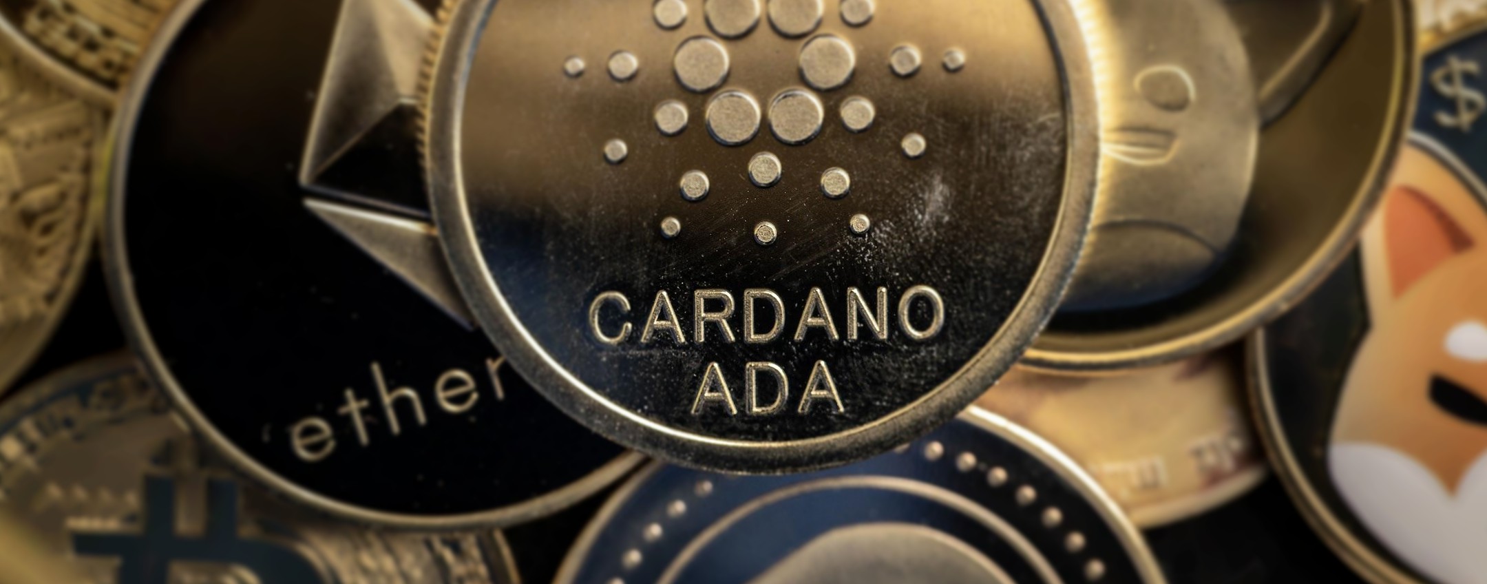 Cardano E Toncoin Sono Contrastate Mentre Nuggetrush Ha Ambizioni