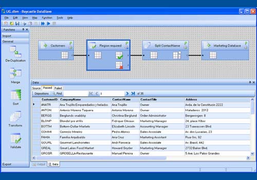 DataSlave Professional