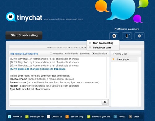 TinyChat