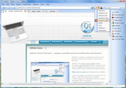 QtWeb Internet Browser