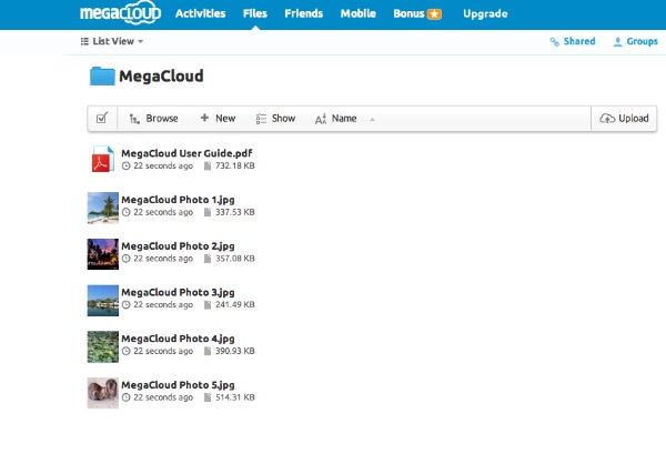 MegaCloud