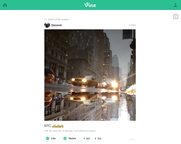 Vine