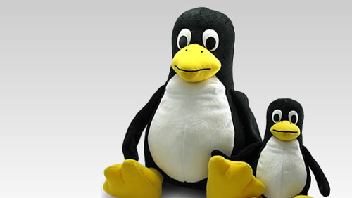 Linux kernel 5.1: fine del supporto, aggiornare a Linux 5.2