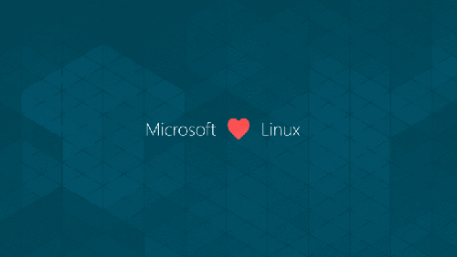 Windows vs Linux: criteri per la scelta