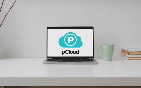 Con pCloud i file più preziosi della tua famiglia al sicuro per sempre