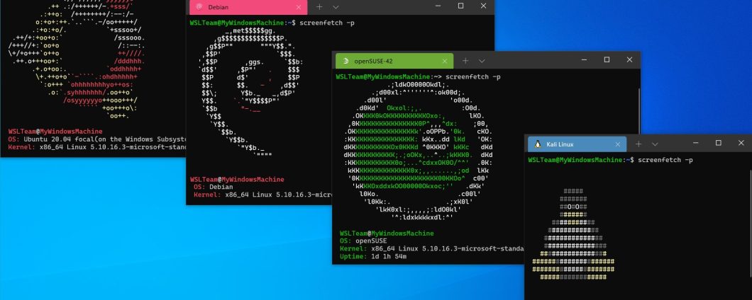 Windows Subsystem for Linux è ufficialmente sul Microsoft Store