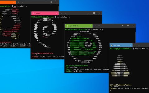 Windows Subsystem for Linux è ufficialmente sul Microsoft Store