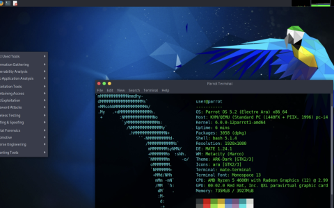 Parrot Security OS 5.2: arrivato Linux 6.0