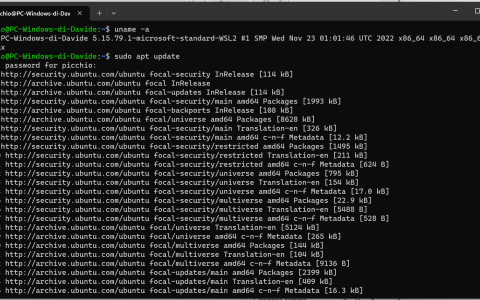 WSL: implementato il supporto per il D3D12 GPU Video Acceleration