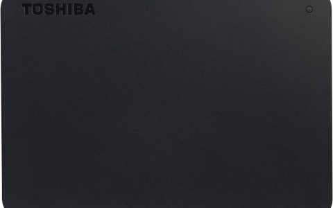 Toshiba Canvio Basics 1TB: OFFERTA BOMBA per l'hard disk esterno su Amazon