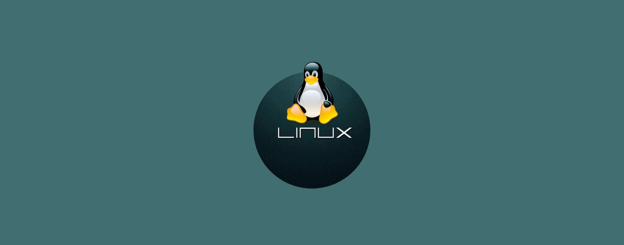 Linux 6.13: Intel e AMD risolvono il bug causato da Microsoft